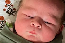 Fundraiser for Seth Mabbitt by Gabrielle McAbee : Support Isla's Surgery  and Recovery