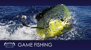 Free delivery and returns on ebay plus items for plus members. Akura Fishing Charters