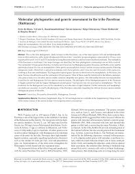 Image result for Pavetta stenosepala