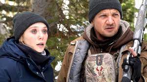 Maybe you would like to learn more about one of these? Wind River Netflix