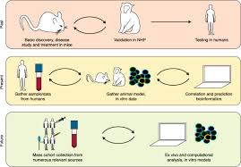 Check spelling or type a new query. Advanced Model Systems And Tools For Basic And Translational Human Immunology Genome Medicine Full Text