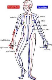 Chart Of The Yin And Yang Meridians Acupressure