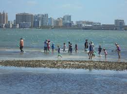 First emerson point preserve has wildlife. Dip Net Experience At Emerson Point Preserve Around The Bend Nature Tours