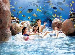 Adventure Cove Waterpark Sentosa Island Singapore Water Park Singapore Vacation