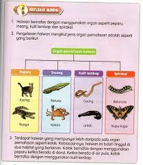 Katak adalah haiwan kecil yang dikelaskan sebagai amfibia. Chang Tun Kuet Unit 3 Haiwan