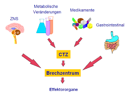 Https Www Dgpalliativmedizin De Images Stories Pdf Leitlinie C3 9cbelkeit Erbrechen End Pdf
