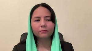 Palestinian chef Sami Tamimi says Israeli actions are 'beyond my  understanding'