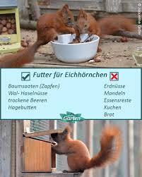 Mdr Garten Accueil Facebook