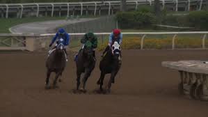 Facebook gives people the power to share. 37th Horse Dies At Santa Anita Since December Wfla