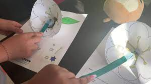 Posted mar 21, 2019, 2:18 pm by dritzschubert@sjusd.org. Mystery Science Make A Flower Hw Video Youtube