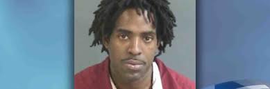 SCHP: Driver charged with DUI, child endangerment after chase in North  Charleston