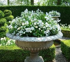 Outdoor Living Alicia Wood Lifestyle Container Garden Design Container Flowers Container Gardening Flowers