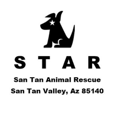 Free download puppy luv trial. Puppy Luv Animal Rescue Home Facebook