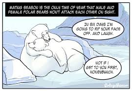 You probably know how humans mate (if you don't you're a rock, or just 4 years old) but what would it look like if we did it the. If Only Humans Didn T Get So Freaked Out When I Do Animals Mating Rituals Album On Imgur