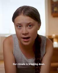 Conservation Intl's Video