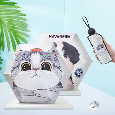 Cocuk Semsiyesi Kadin 5 Kat Semsiye Cin Sevimli Kedi Kopek Uv Ttk Karikatur Kucuk Cep Semsiye Gunes Mini Semsiye Yagmur Kadinlar Sale Www3 Bolumdukkan Co
