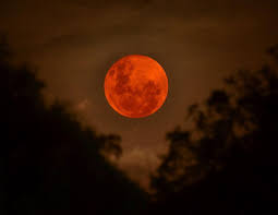 The full moon in may 2021 is called the flower moon. Ytj G Om Uo1 M