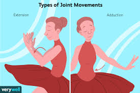 Shoulder flexion and extension range of motion. Generally Accepted Values For Normal Range Of Motion