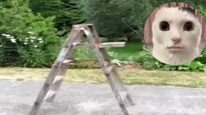 Fredrick (@fredrickson.the.3rd)