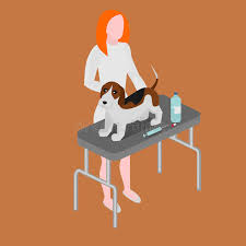 Pema has had decades of experience helping pets heal and stay healthy. Doctor With Dog Vet Clinic Cartoon Woman Veterinarian Healing Dog Animal Nurse Stock Illustration Illustration Of Girl Female 86413018