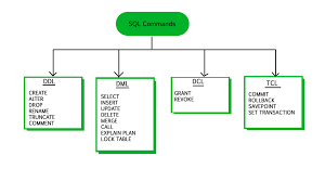 29 described viva ddp chart