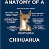 Explore chihuahua quotes by authors including ted allen, denis leary, and britt ekland at brainyquote. Https Encrypted Tbn0 Gstatic Com Images Q Tbn And9gcrsq2mwew3ggr62ahbm3leux1erxkdx12dr5ycrsii Usqp Cau