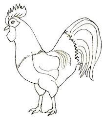 How to draw a rooster. Animals For Coloriage Recherche Google Rooster Painting Rooster Art Art Drawings