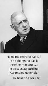 Mais Qui Sont Ces Capitaux Qui Defilaient Sur Les Champs Elysees Citation De Gaulle Gaulle Cinquieme Republique