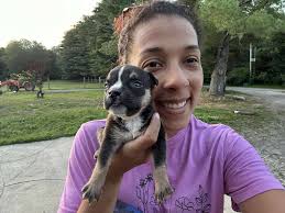 📢 CALLING ALL PAINTERS! Could you donate some of your time this week to  help us paint our Bridge Street Shop? We are moving out and the shop needs  a fresh lick