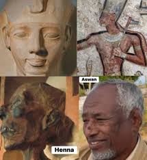 Egyptians are distinct ethnic group