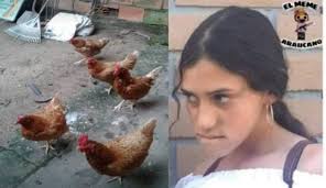 Yo Planeando el robo de las Gallinas de mi vecino para la cena de Año  nuevo. 🙈