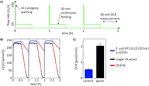 Culture media culture media generally provide sources of carbon , energy and nitrogen in the form of available carbohydrates and amino acids. Microfluidic System For Caenorhabditis Elegans Culture And Oxygen Consumption Rate Measurements Lab On A Chip Rsc Publishing
