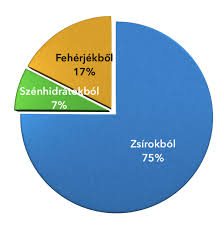 Véleményünk szerint a ketogén diéta a legoptimálisabb étrend/életmód a fogyáshoz, az egészségünk javításához, illetve számos betegség megelőzéséhez. Ketogen Dieta Valoban Hatasos Gastrogranny Eteled Az Eleted
