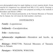 Image result for Aphanocalyx richardsiae