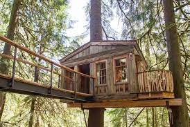 Nicely cushioned perches, spacious houses, sisal scratching posts, several layer design, cozy hammock, jingly balls will provide a lot of lounging room and fun to your kitties. 17 Epic Treehouses From Around The World Matador Network