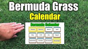 Lawn care nut treatments here are my free treatment schedules and programs. Bermuda Grass Calendar Please See New Calendar In Description Youtube