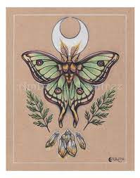 11 X 14 Inch Spanish Lunar Moth With Crescent Moon And Citrine Crystals Print Moth Tattoo Lunar Moth Tattoo Moth Tattoo Design