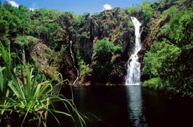 May 22 is marked for the international day for biological diversity given by the united nations general assembly in december 2000. International Day For Biological Diversity