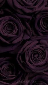 Black And Purple Flowers Wallpaper Black Flower Wallpaper Iphone Android Screen Savers Wallpapers Backgrounds Screen Savers Wallpapers Flower Phone Wallpaper