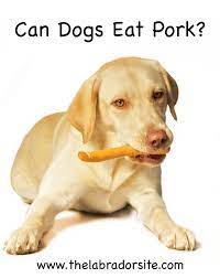 Can Dogs Eat Pork A Guide To Pork Bones Ribs And Meat For Dogs Can Dogs Eat Pork Can Dogs Eat Dog Eating