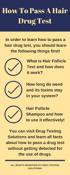 Pin On How To Pass A Hair Drug Test