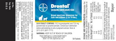 Drontal Praziquantel Pyrantel Pamoate Tablets Broad Spectrum Dewormer For Cats And Kittens