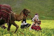 نتیجه تصویری برای کرمانج