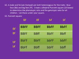 In other words, a female rabbit with the genotype ggbb may produce eggs with the alleles gb. Genetics Packet Answers Ppt Download