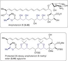 Image result for Amphotericin B