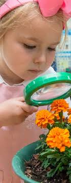 Honor Roll of Donors & Impact Report 2021-2022 by St. Agnes Academy-St.  Dominic School