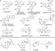 Natural Product Derived Quaternary Ammonium Compounds With Potent Antimicrobial Activity The Journal Of Antibiotics