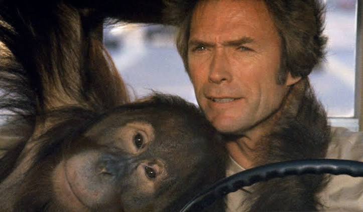 Clint Eastwood Struck Box-Office Gold Playing Opposite an Orangutan