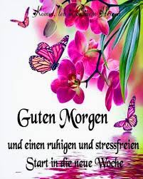 Eine schönen guten morgen kann man mit whatsapp oder facebook wünschen. Download Guten Morgen Bilder Und Spruche Fur Whatsapp 2021 Free For Android Guten Morgen Bilder Und Spruche Fur Whatsapp 2021 Apk Download Steprimo Com