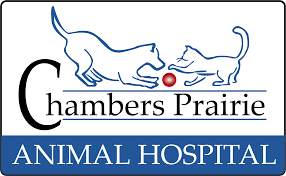 Chambers Prairie Animal Hospital Veterinarian In Olympia Wa